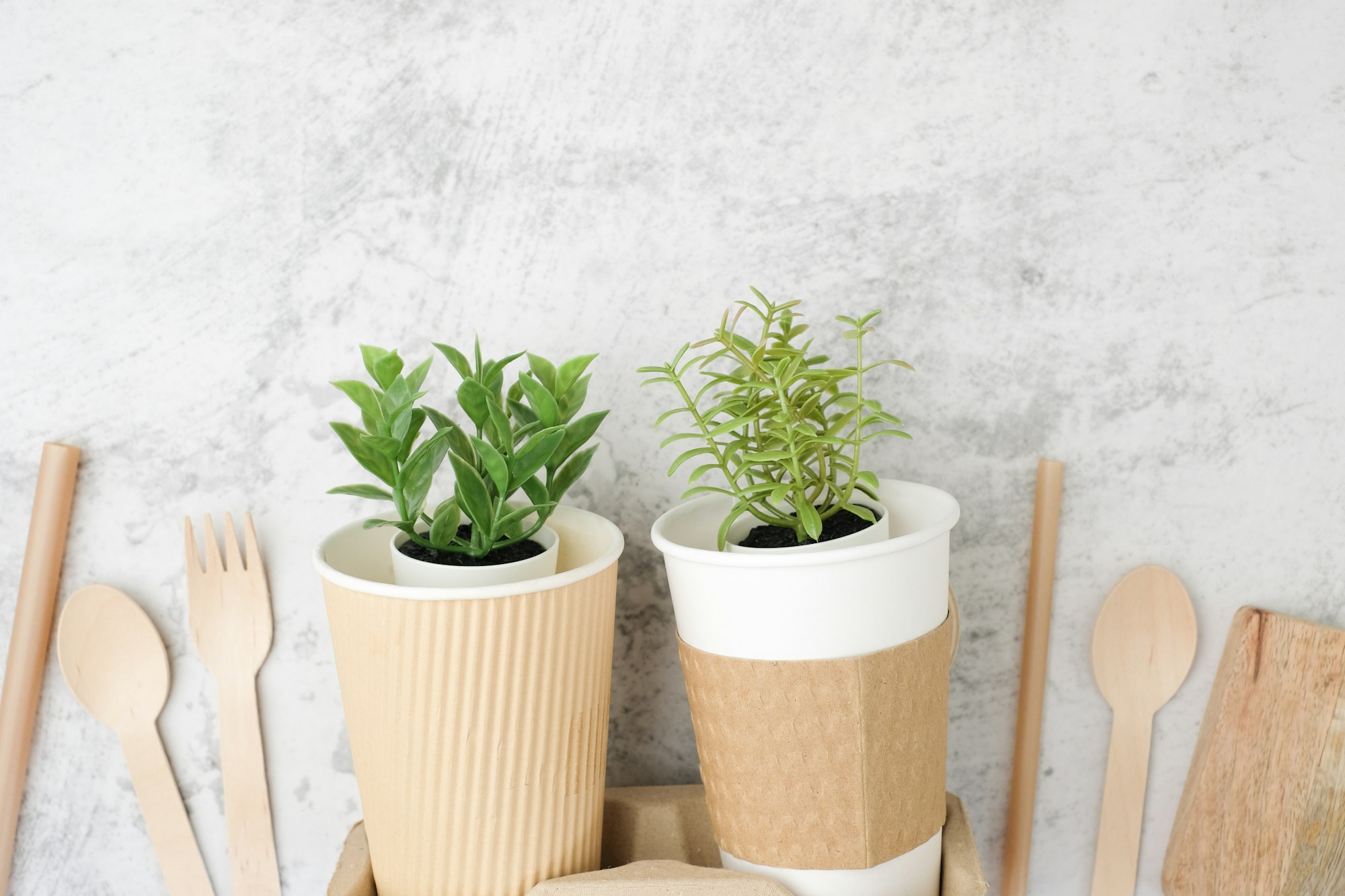 The biodegradable and sustainable of food and drink package with plant pot for eco friendly